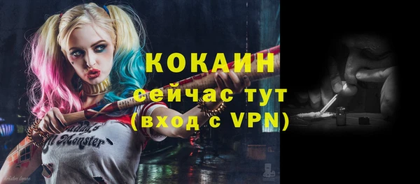 дмт Нея