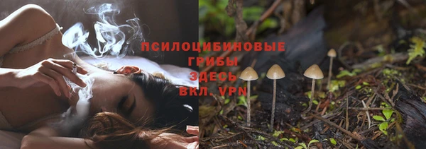 дмт Нея