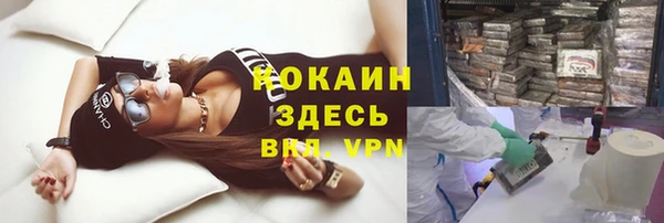 дмт Нея