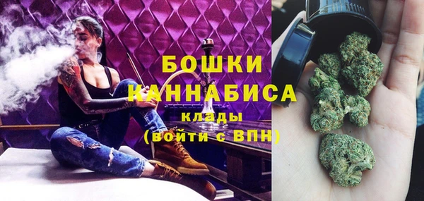 дмт Нея
