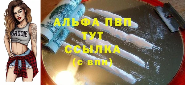 дмт Нея