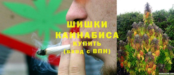 ПСИЛОЦИБИНОВЫЕ ГРИБЫ Нефтегорск
