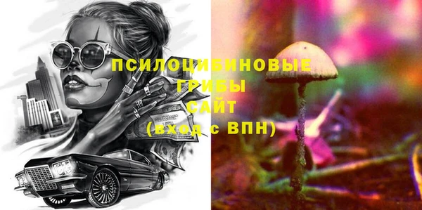 дмт Нея