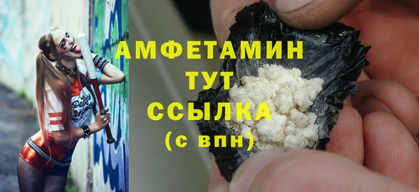 дмт Нея