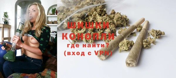дмт Нея